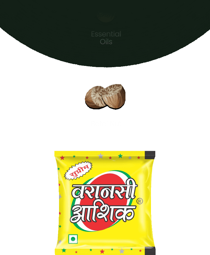 Varanasi Ashik